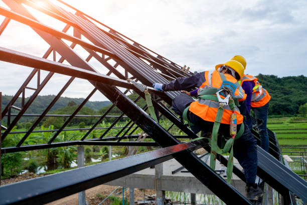 Professional Roofing Contractor in Grand Marais, MN